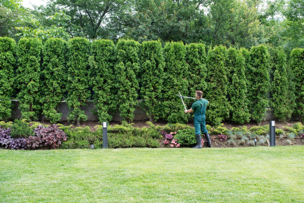 West Van Lear, KY Tree Services Company