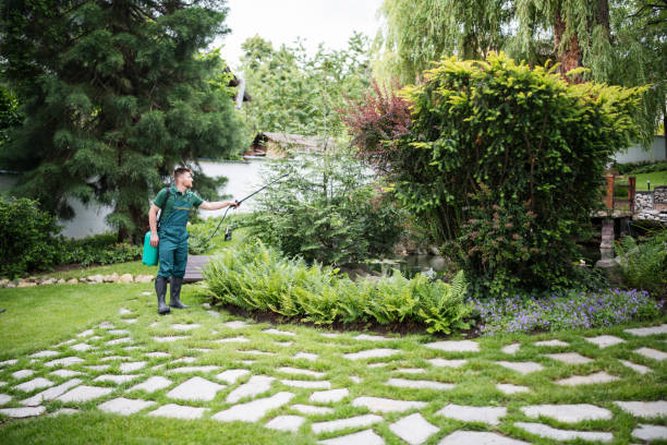 Best Tree Trimming and Pruning  in West Van Lear, KY